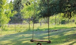 SWING